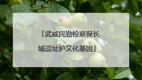武威民勤检察保长城遗址护文化基因